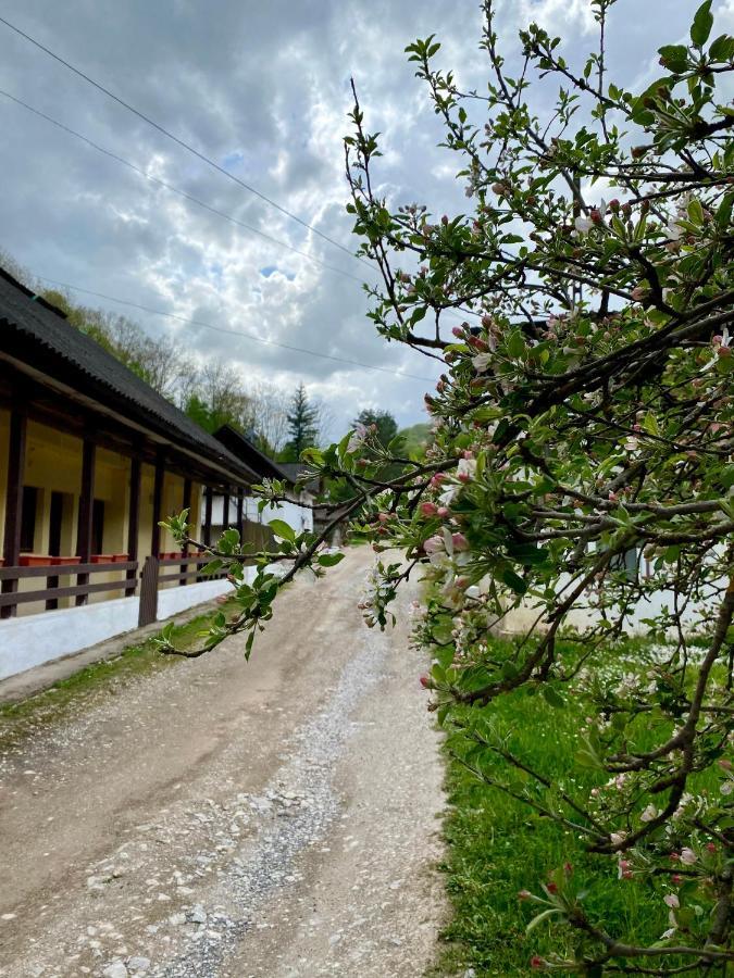 House In The Woods Bed and Breakfast Ρέσιτσα Εξωτερικό φωτογραφία