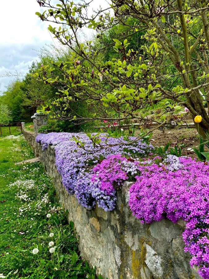 House In The Woods Bed and Breakfast Ρέσιτσα Εξωτερικό φωτογραφία