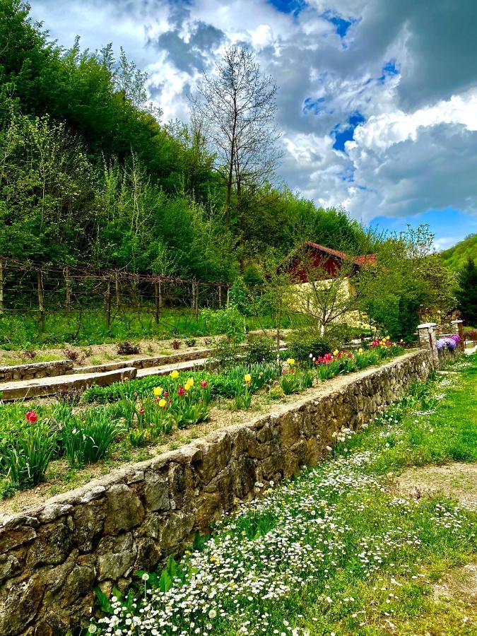 House In The Woods Bed and Breakfast Ρέσιτσα Εξωτερικό φωτογραφία