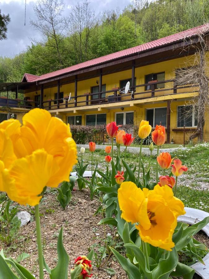 House In The Woods Bed and Breakfast Ρέσιτσα Εξωτερικό φωτογραφία