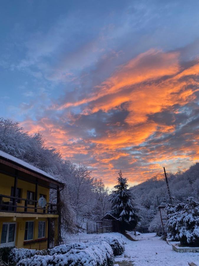 House In The Woods Bed and Breakfast Ρέσιτσα Εξωτερικό φωτογραφία