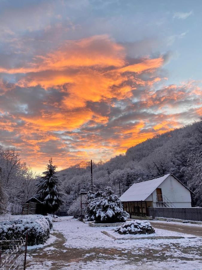 House In The Woods Bed and Breakfast Ρέσιτσα Εξωτερικό φωτογραφία