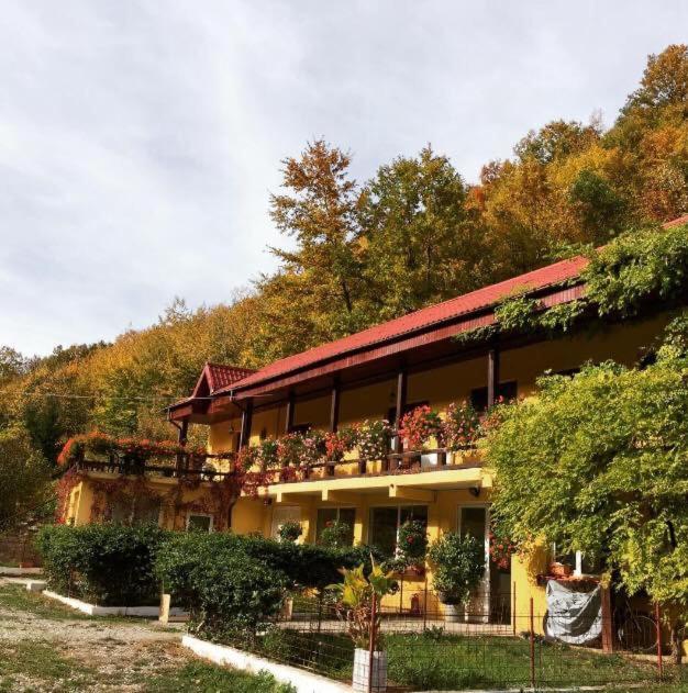 House In The Woods Bed and Breakfast Ρέσιτσα Εξωτερικό φωτογραφία