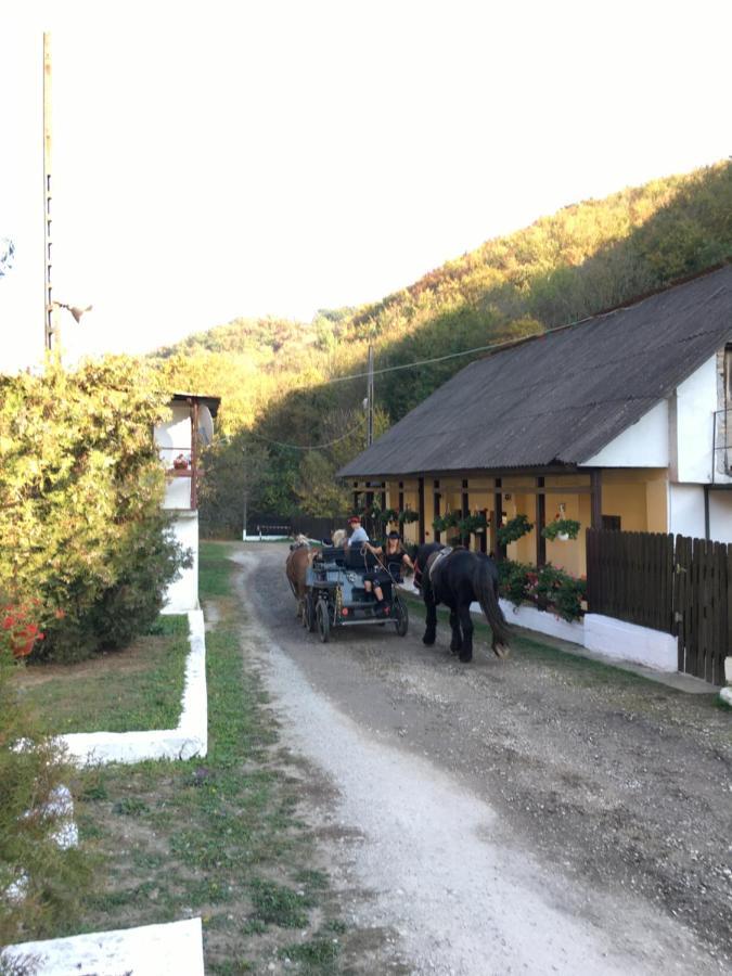 House In The Woods Bed and Breakfast Ρέσιτσα Εξωτερικό φωτογραφία