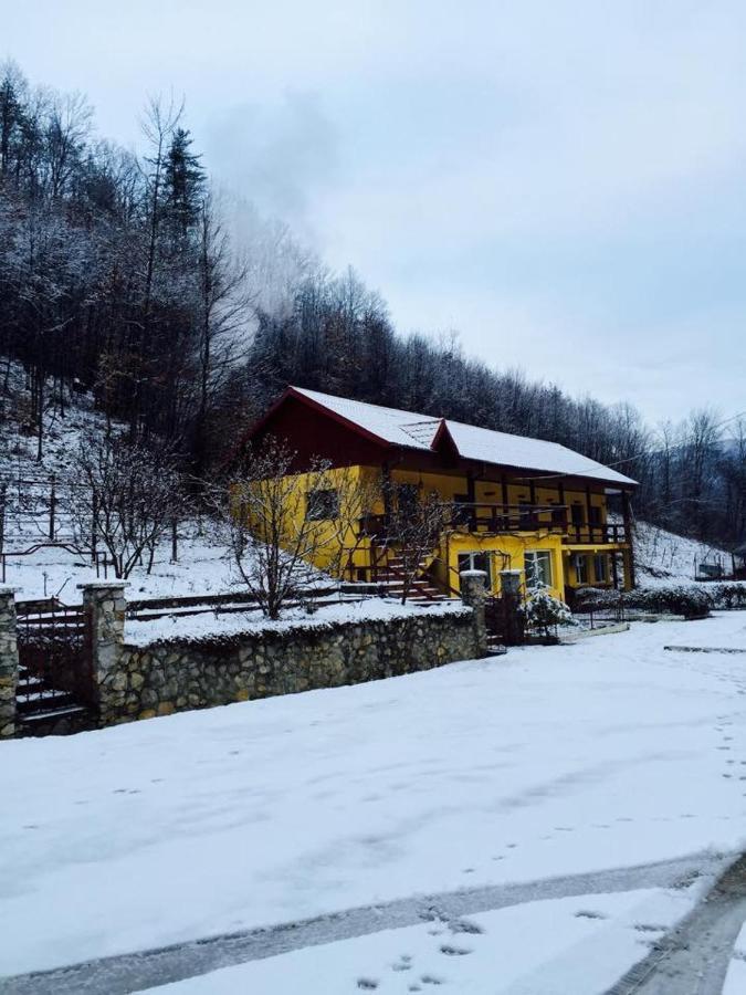 House In The Woods Bed and Breakfast Ρέσιτσα Εξωτερικό φωτογραφία