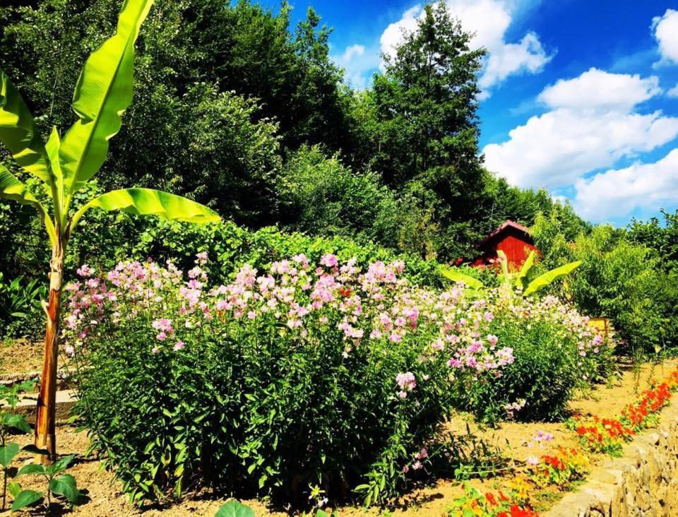 House In The Woods Bed and Breakfast Ρέσιτσα Εξωτερικό φωτογραφία