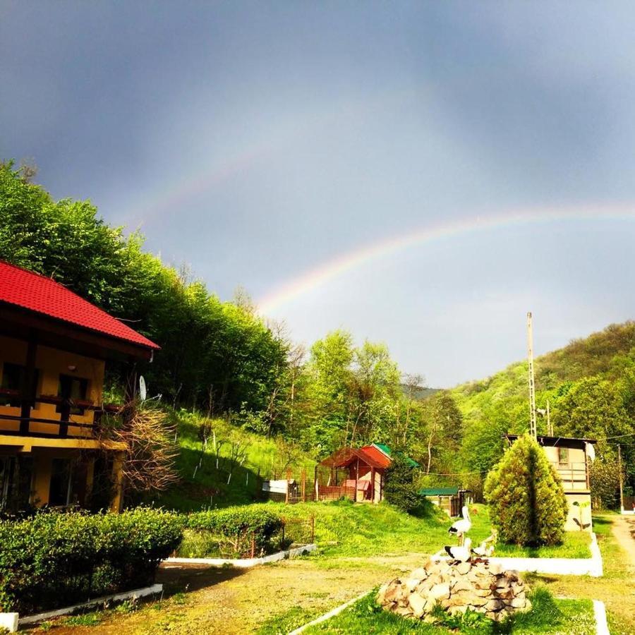 House In The Woods Bed and Breakfast Ρέσιτσα Εξωτερικό φωτογραφία